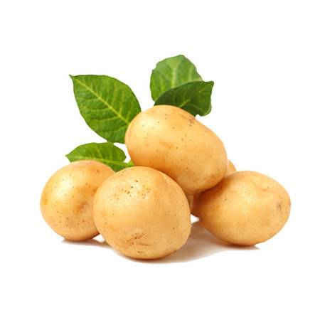 Fresh potatoes